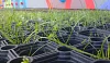 Soft rubber grass reinforcement mat